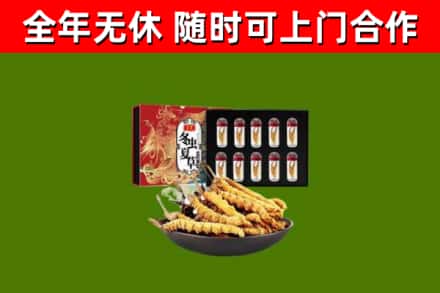 运城市回收冬虫夏草价格